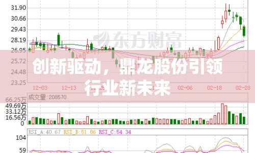 創(chuàng)新驅(qū)動，鼎龍股份引領行業(yè)新未來