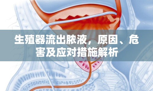 生殖器流出膿液，原因、危害及應(yīng)對(duì)措施解析