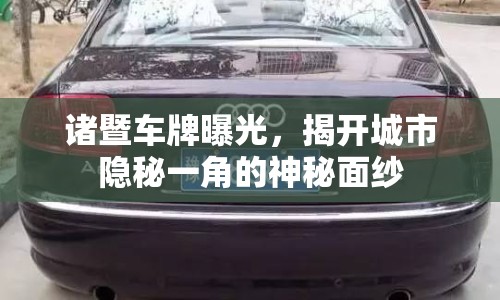 諸暨車牌曝光，揭開城市隱秘一角的神秘面紗