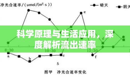 科學(xué)原理與生活應(yīng)用，深度解析流出速率