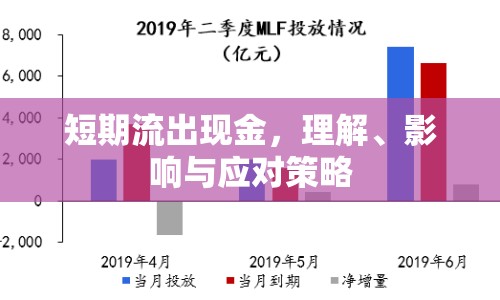 短期流出現(xiàn)金，理解、影響與應(yīng)對策略