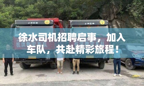 徐水司機招聘啟事，加入車隊，共赴精彩旅程！