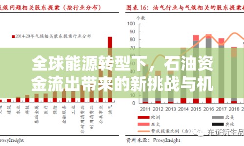 全球能源轉(zhuǎn)型下，石油資金流出帶來(lái)的新挑戰(zhàn)與機(jī)遇