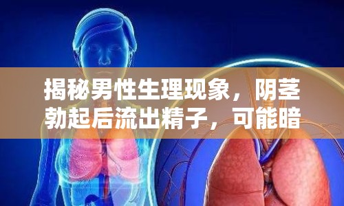 揭秘男性生理現(xiàn)象，陰莖勃起后流出精子，可能暗示潛在問題