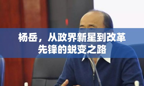 楊岳，從政界新星到改革先鋒的蛻變之路