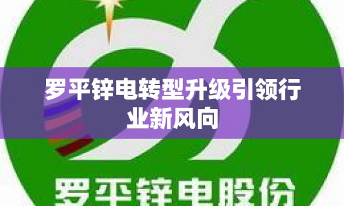 羅平鋅電轉(zhuǎn)型升級引領(lǐng)行業(yè)新風(fēng)向