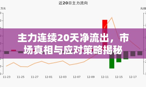 主力連續(xù)20天凈流出，市場真相與應對策略揭秘