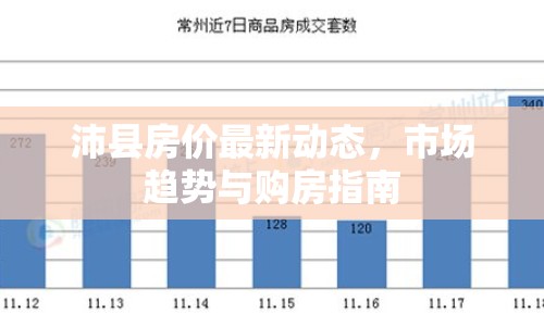 沛縣房價最新動態(tài)，市場趨勢與購房指南