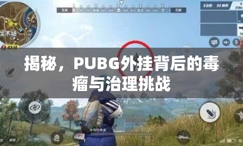 揭秘，PUBG外掛背后的毒瘤與治理挑戰(zhàn)