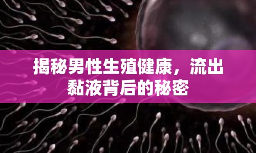 揭秘男性生殖健康，流出黏液背后的秘密