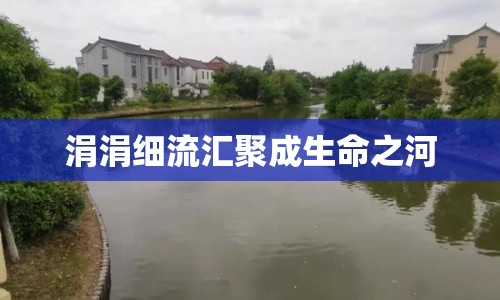 涓涓細流匯聚成生命之河