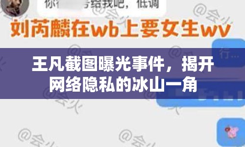 王凡截圖曝光事件，揭開(kāi)網(wǎng)絡(luò)隱私的冰山一角