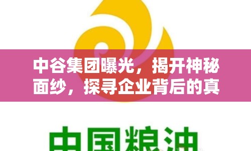 中谷集團曝光，揭開神秘面紗，探尋企業(yè)背后的真相