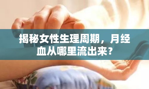 揭秘女性生理周期，月經(jīng)血從哪里流出來？