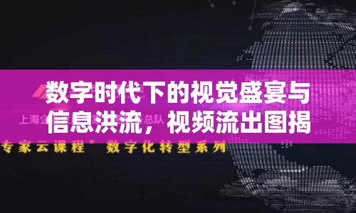 數(shù)字時代下的視覺盛宴與信息洪流，視頻流出圖揭示的真相