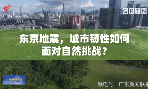 東京地震，城市韌性如何面對自然挑戰(zhàn)？