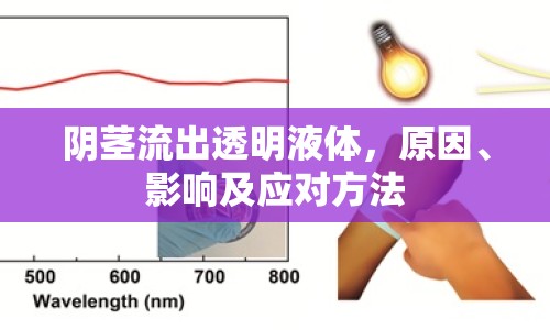 陰莖流出透明液體，原因、影響及應(yīng)對方法