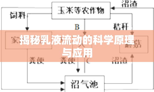 揭秘乳液流動(dòng)的科學(xué)原理與應(yīng)用