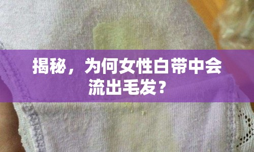 揭秘，為何女性白帶中會流出毛發(fā)？