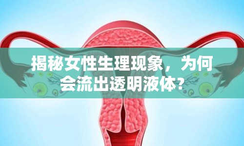 揭秘女性生理現(xiàn)象，為何會流出透明液體？