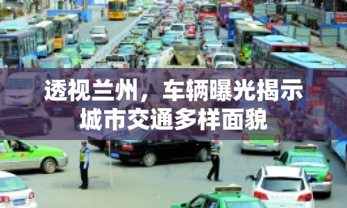 透視蘭州，車輛曝光揭示城市交通多樣面貌