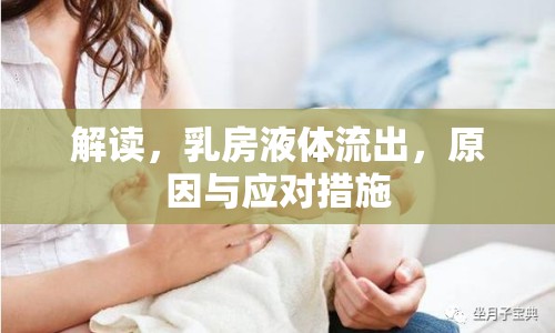 解讀，乳房液體流出，原因與應(yīng)對(duì)措施