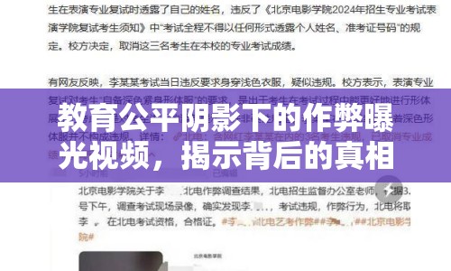 教育公平陰影下的作弊曝光視頻，揭示背后的真相