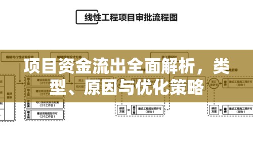 項目資金流出全面解析，類型、原因與優(yōu)化策略