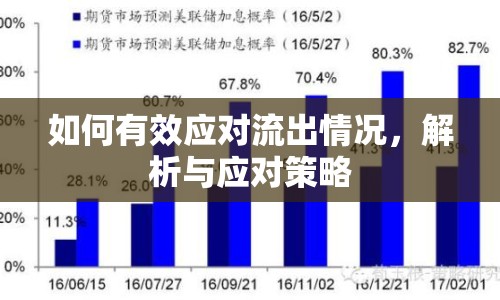 如何有效應(yīng)對流出情況，解析與應(yīng)對策略