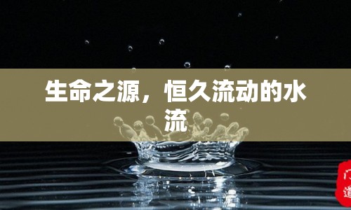 生命之源，恒久流動的水流