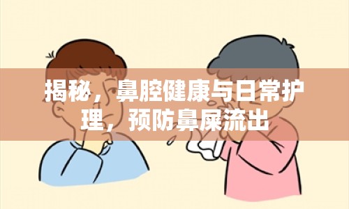 揭秘，鼻腔健康與日常護理，預防鼻屎流出