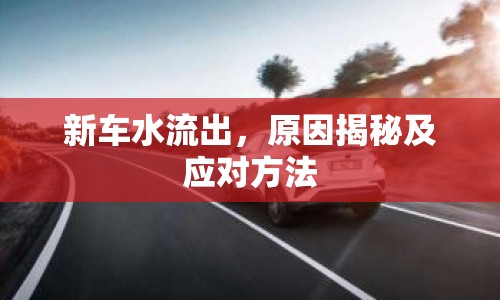 新車水流出，原因揭秘及應(yīng)對方法