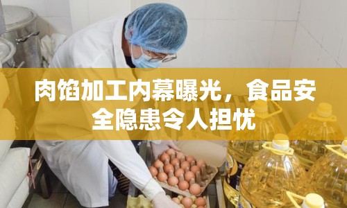 肉餡加工內(nèi)幕曝光，食品安全隱患令人擔憂