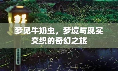 夢見牛奶蟲，夢境與現(xiàn)實交織的奇幻之旅