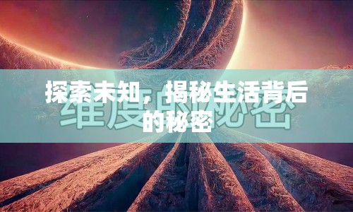 探索未知，揭秘生活背后的秘密