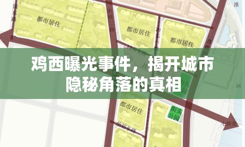 雞西曝光事件，揭開城市隱秘角落的真相