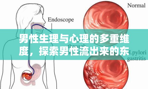 男性生理與心理的多重維度，探索男性流出來的東西