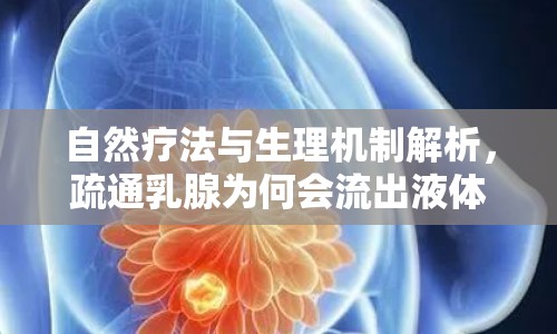 自然療法與生理機(jī)制解析，疏通乳腺為何會流出液體？