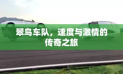 翠鳥車隊，速度與激情的傳奇之旅