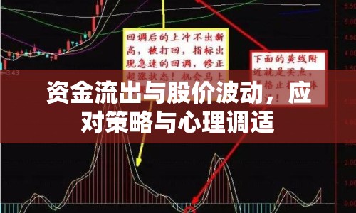 資金流出與股價波動，應對策略與心理調(diào)適