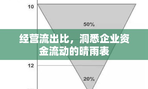 經(jīng)營流出比，洞悉企業(yè)資金流動的晴雨表