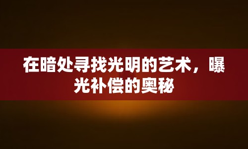 在暗處尋找光明的藝術，曝光補償?shù)膴W秘