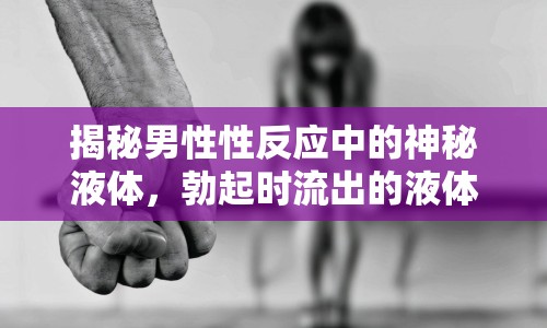 揭秘男性性反應(yīng)中的神秘液體，勃起時(shí)流出的液體全解析