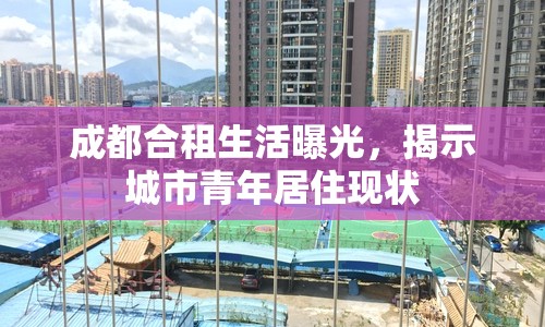 成都合租生活曝光，揭示城市青年居住現(xiàn)狀