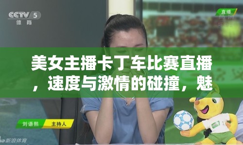 美女主播卡丁車比賽直播，速度與激情的碰撞，魅力與技術(shù)的展現(xiàn)