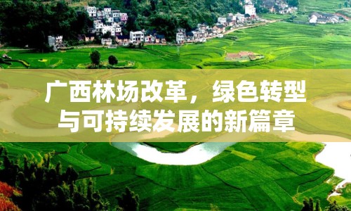 廣西林場改革，綠色轉型與可持續(xù)發(fā)展的新篇章