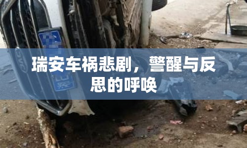 瑞安車禍悲劇，警醒與反思的呼喚