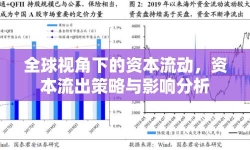 全球視角下的資本流動(dòng)，資本流出策略與影響分析