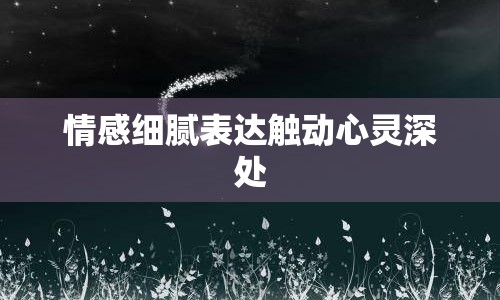 情感細(xì)膩表達(dá)觸動(dòng)心靈深處