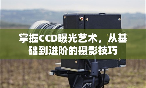 掌握CCD曝光藝術，從基礎到進階的攝影技巧